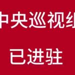 巡视组-NameSeek论坛