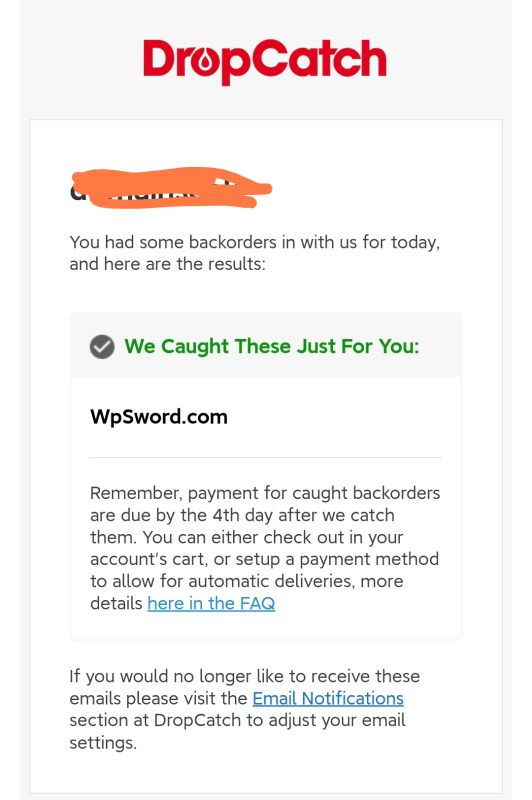 新域名 WPSword.com-NameSeek论坛