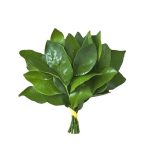 Novproxy的头像-NameSeek论坛