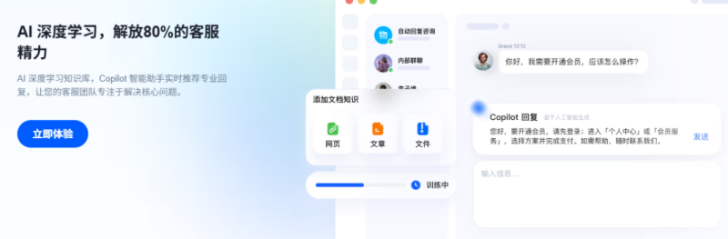 免费版网站在线客服 App-NameSeek论坛